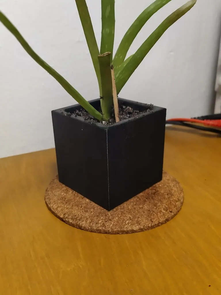 Maceta Cubo para Suculentas
