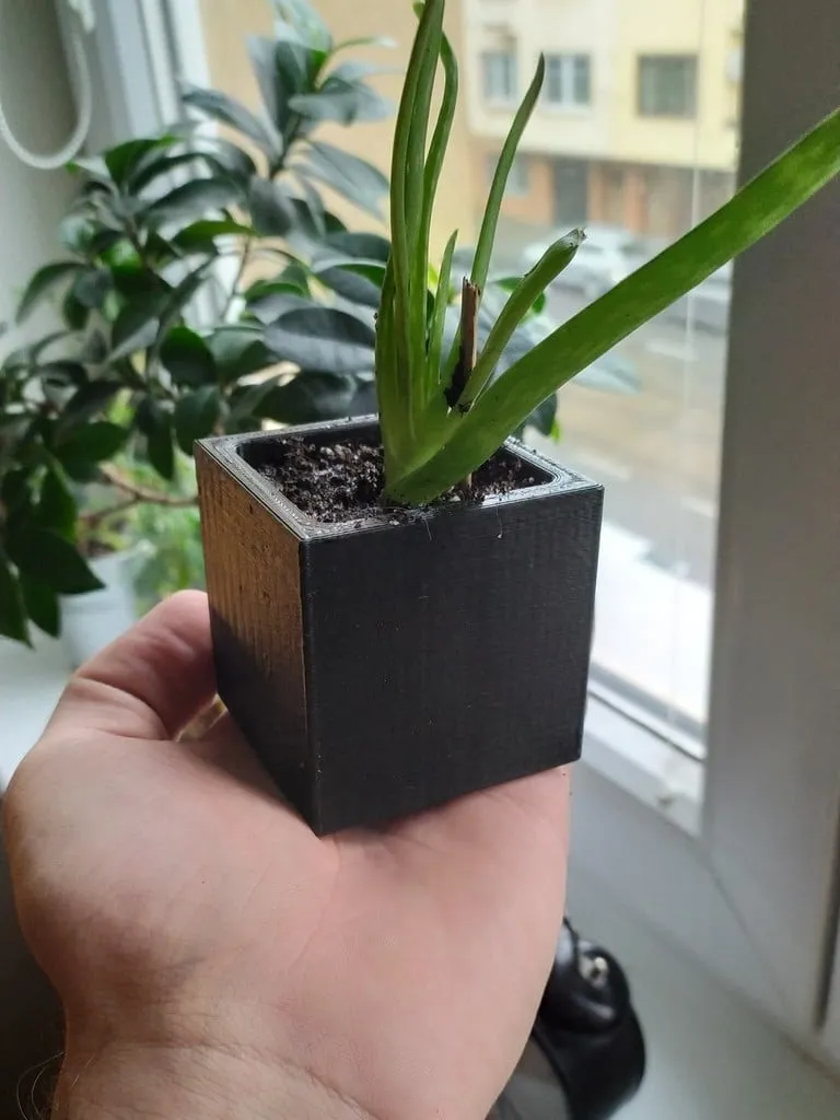 Maceta Cubo para Suculentas